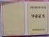 吉林省中專畢業(yè)證樣本、圖片及補(bǔ)辦
