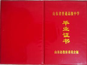 泰安市2000年高中畢業證樣本及圖片參數